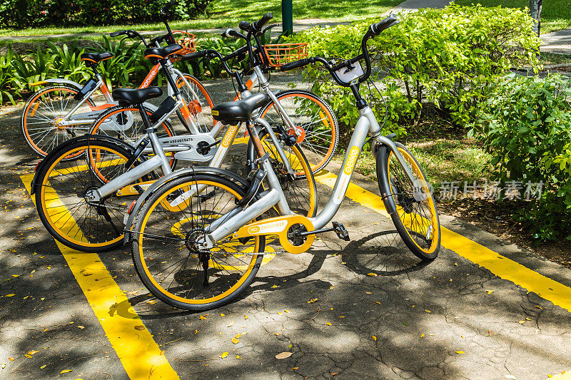 新加坡- 2017年10月17日:新加坡公共公园内的共享单车景观